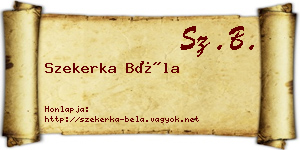 Szekerka Béla névjegykártya